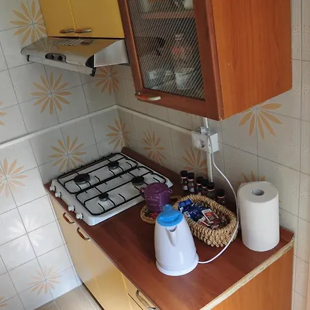 Lili House 公寓 巴勒莫